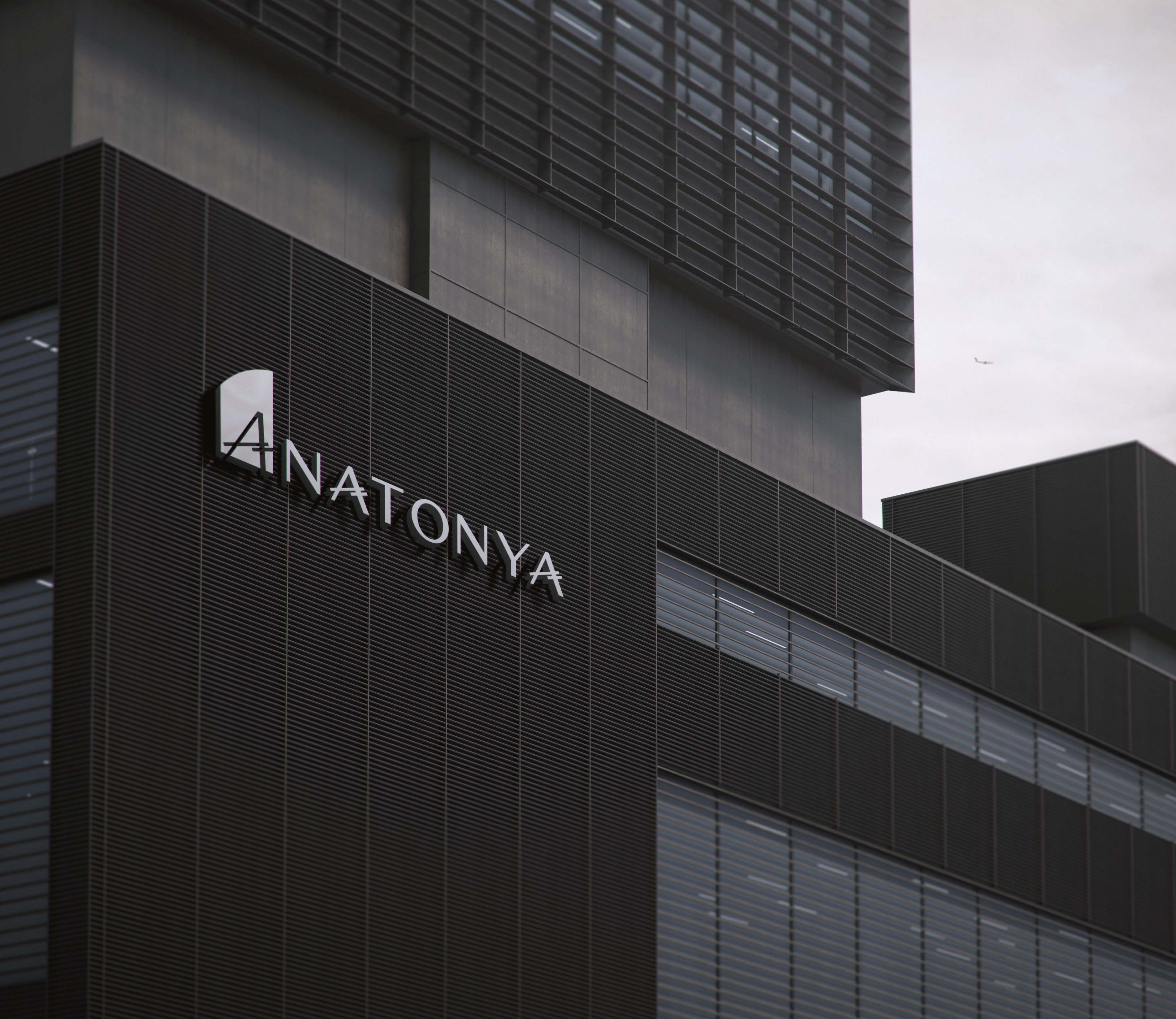 [ ANATONYA ]
